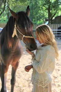 Shamanic-Horsemanship